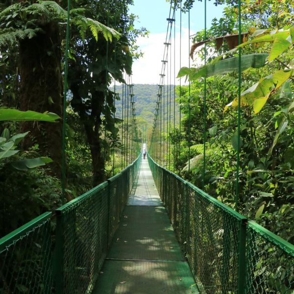 Authentic Costa Rica Small Group Tour - YOU Travel & Cruise Manly.jpg